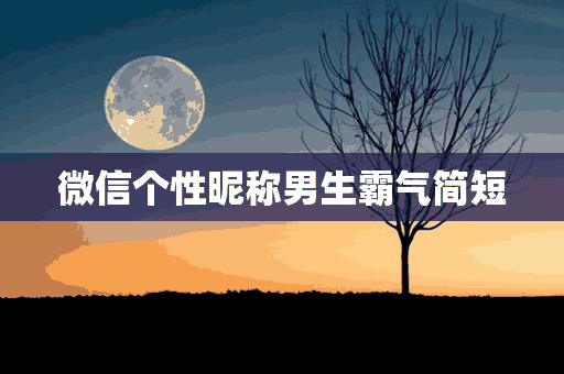 微信个性昵称男生霸气简短(微信个性昵称男生霸气简短两个字)